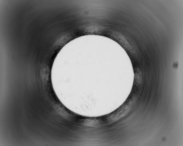 X0000103450458200810241149