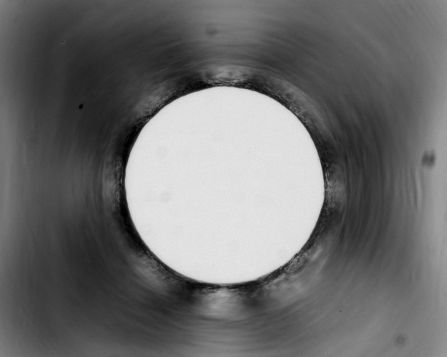 X0000103450460200810241149