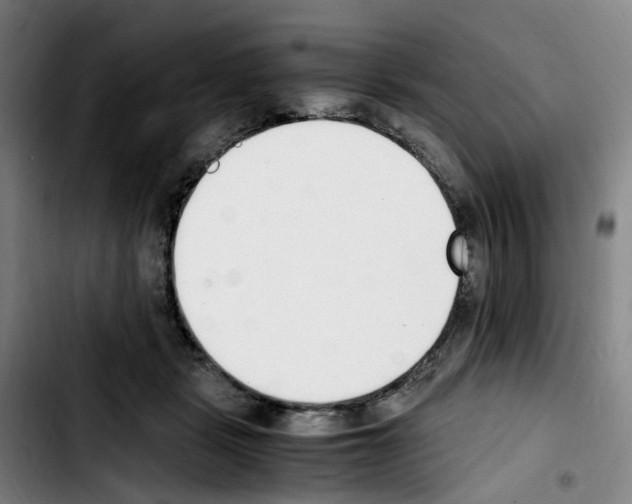 X0000103450461200810241149