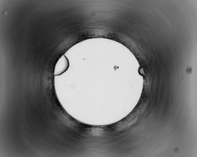 X0000103450462200810241149