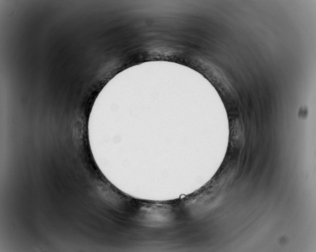 X0000103450463200810241149