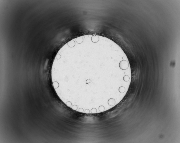 X0000103450464200810241149