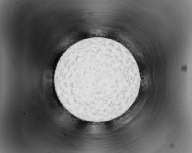 X0000103450466200810241149