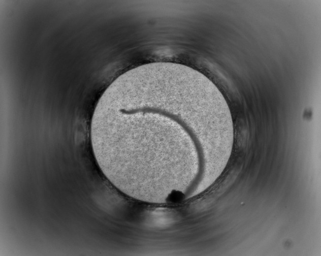 X0000103450467200810241149