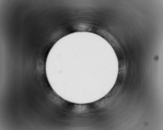 X0000103450469200810241149