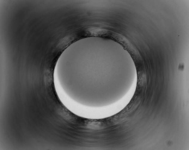 X0000103450471200810241149