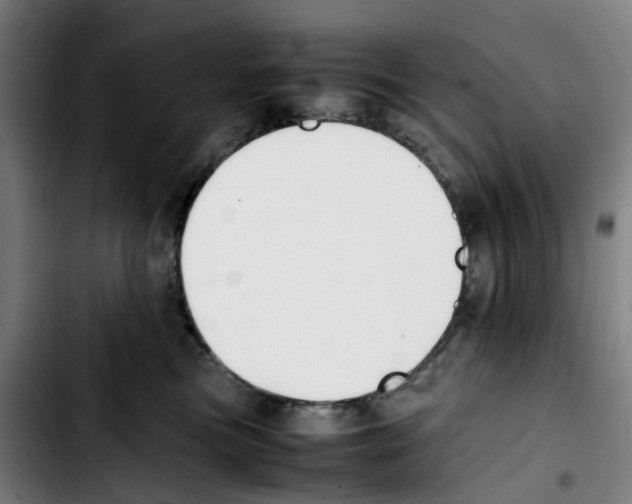 X0000103450473200810241149