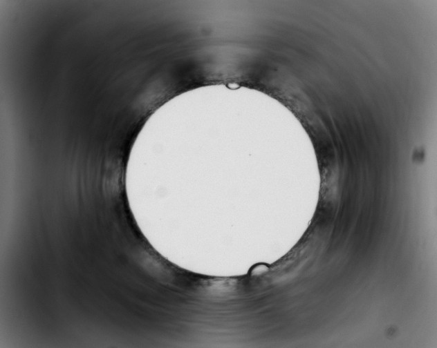 X0000103450474200810241149