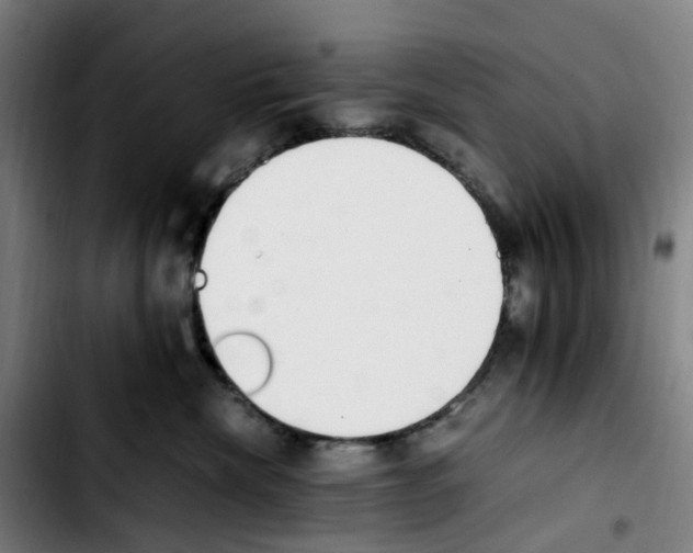 X0000103450476200810241149