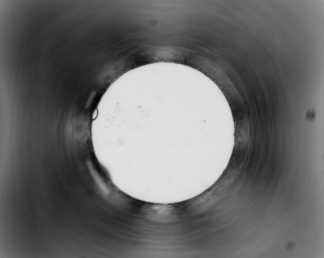 X0000103450478200810241149