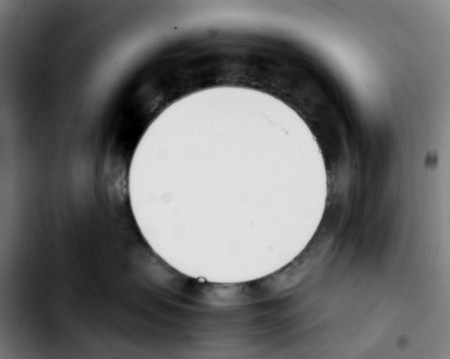 X0000103450479200810241149