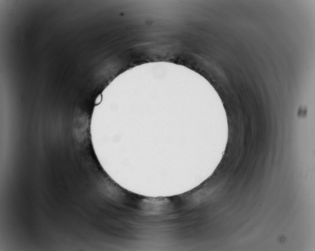 X0000103450480200810241149