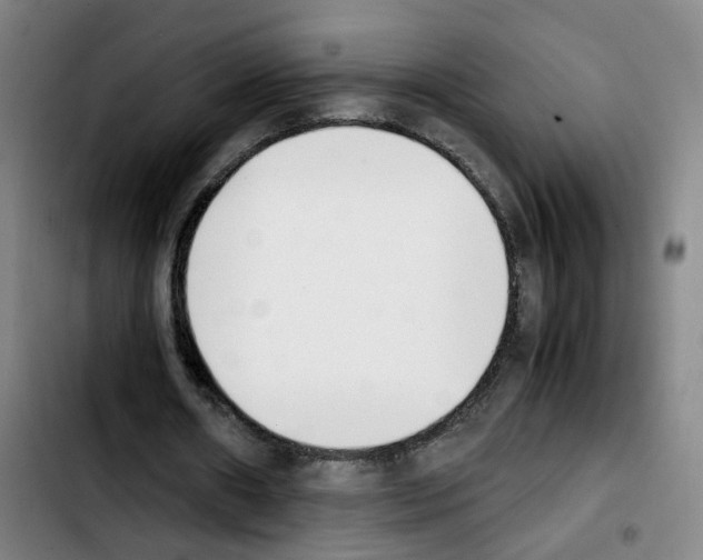 X0000103450482200810241149