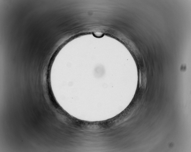 X0000103450483200810241149