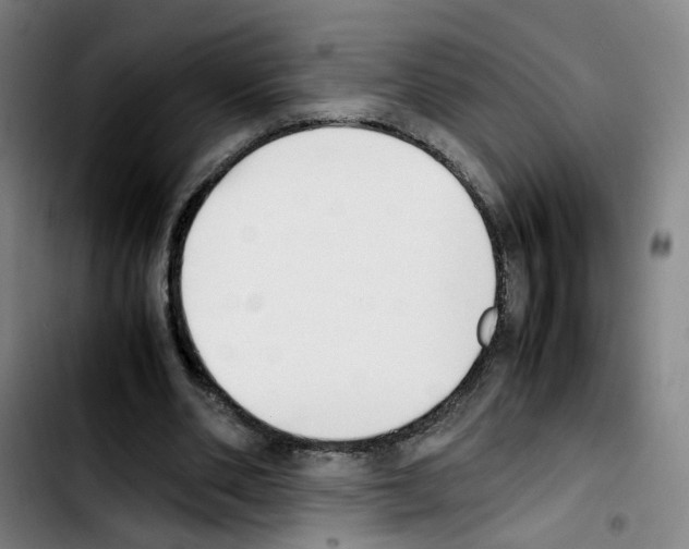 X0000103450486200810241149