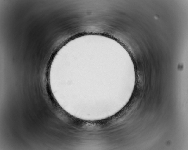 X0000103450487200810241149