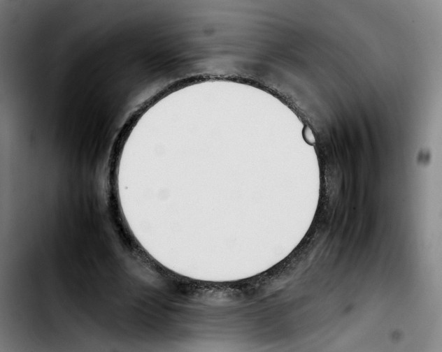 X0000103450488200810241149