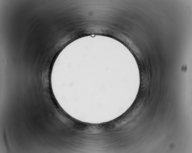 X0000103450489200810241149