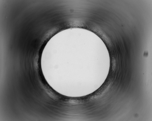 X0000103450490200810241149