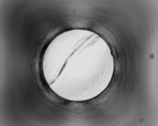 X0000103450491200810241148