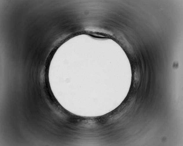 X0000103450492200810241148