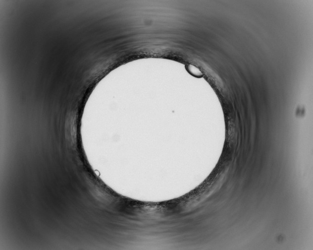 X0000103450493200810241148