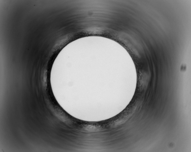 X0000103450494200810241148