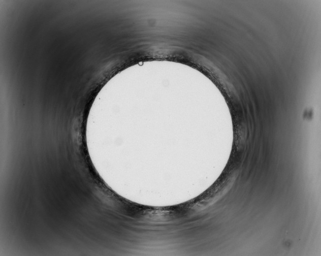 X0000103450497200810241148