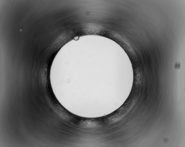 X0000103450498200810241148