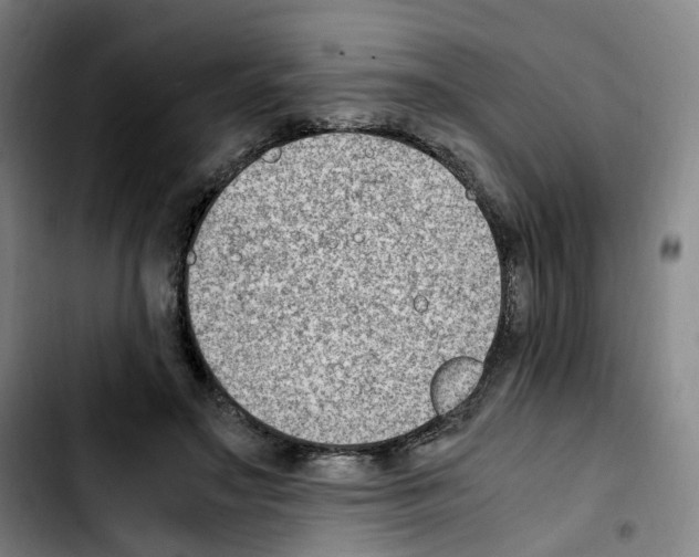 X0000103450499200810241148