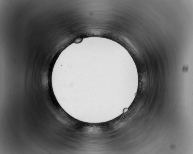 X0000103450500200810241148