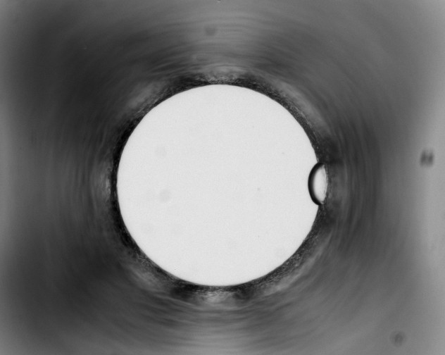 X0000103450501200810241148