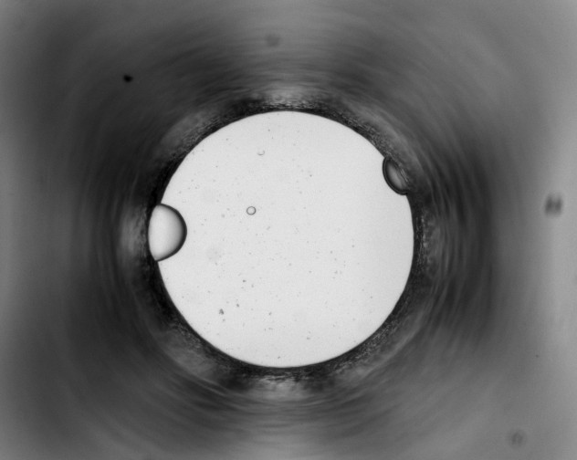 X0000103450502200810241148