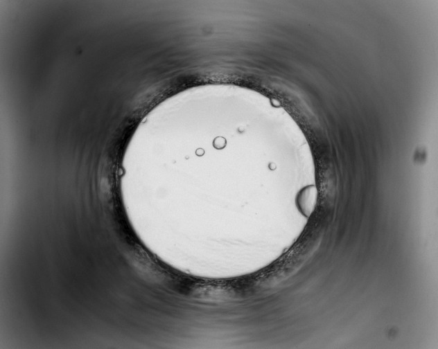 X0000103450503200810241148