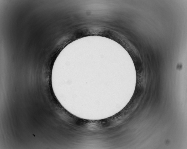 X0000103450505200810241148