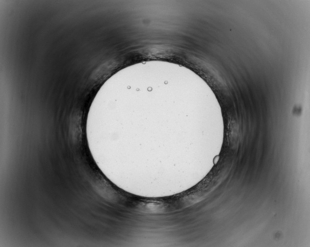 X0000103450506200810241148