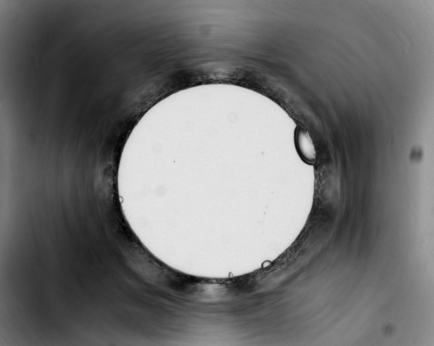 X0000103450509200810241148