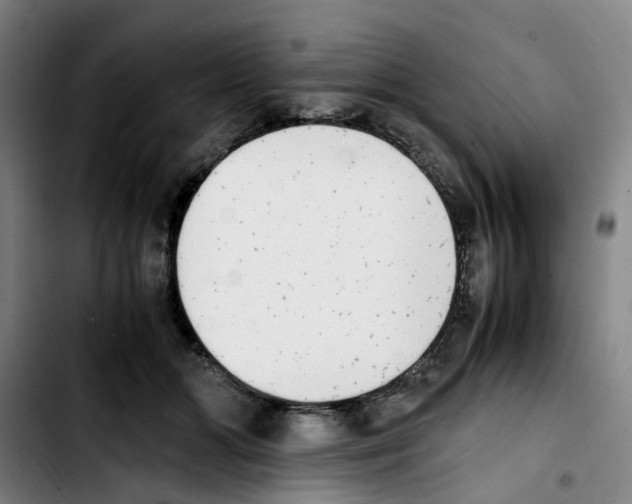 X0000103450510200810241148