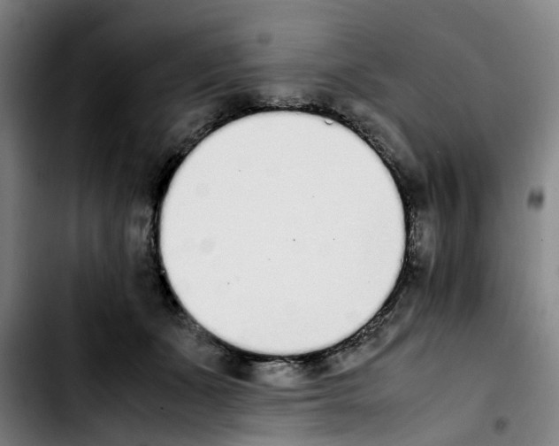 X0000103450511200810241148