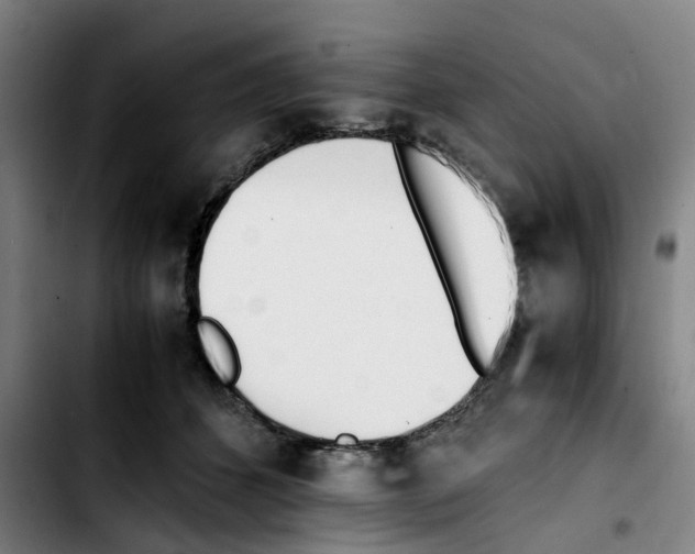 X0000103450512200810241148