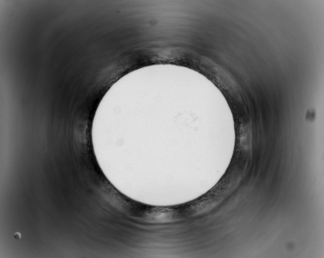 X0000103450514200810241148