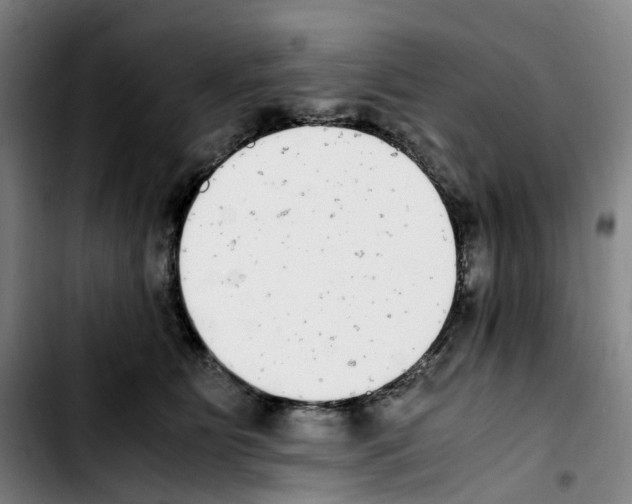 X0000103450515200810241148