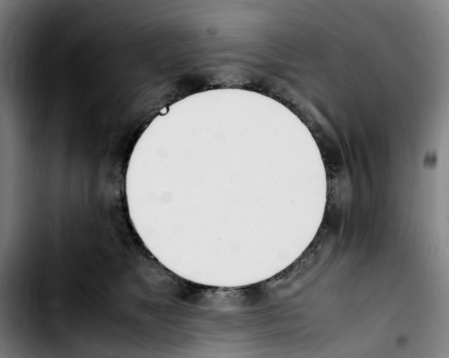 X0000103450517200810241148