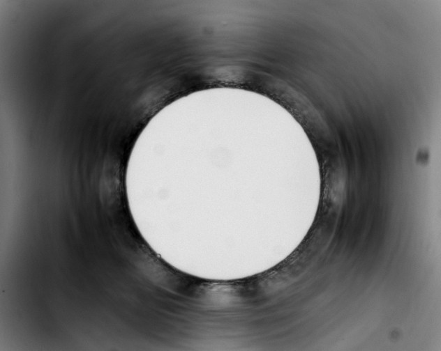 X0000103450518200810241148