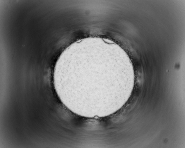 X0000103450519200810241148