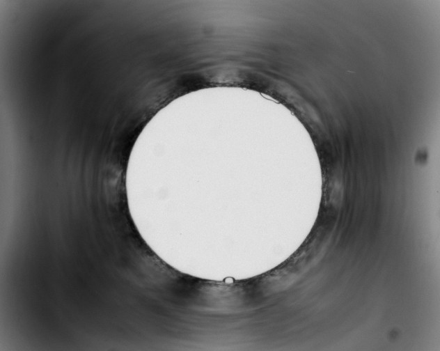 X0000103450521200810241148