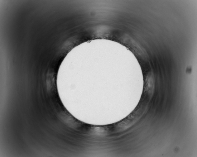 X0000103450522200810241148