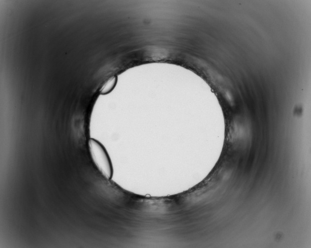 X0000103450524200810241148