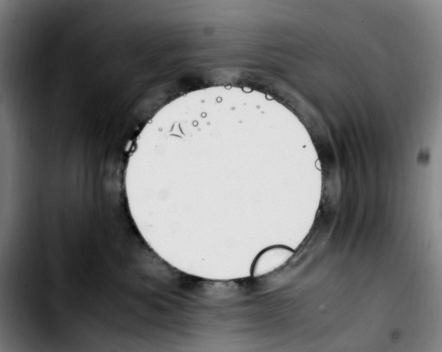 X0000103450525200810241148