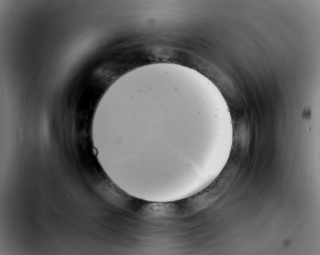 X0000103450526200810241148